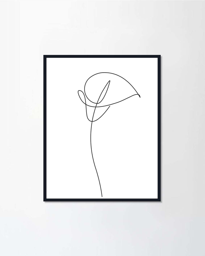 Calla lily flower