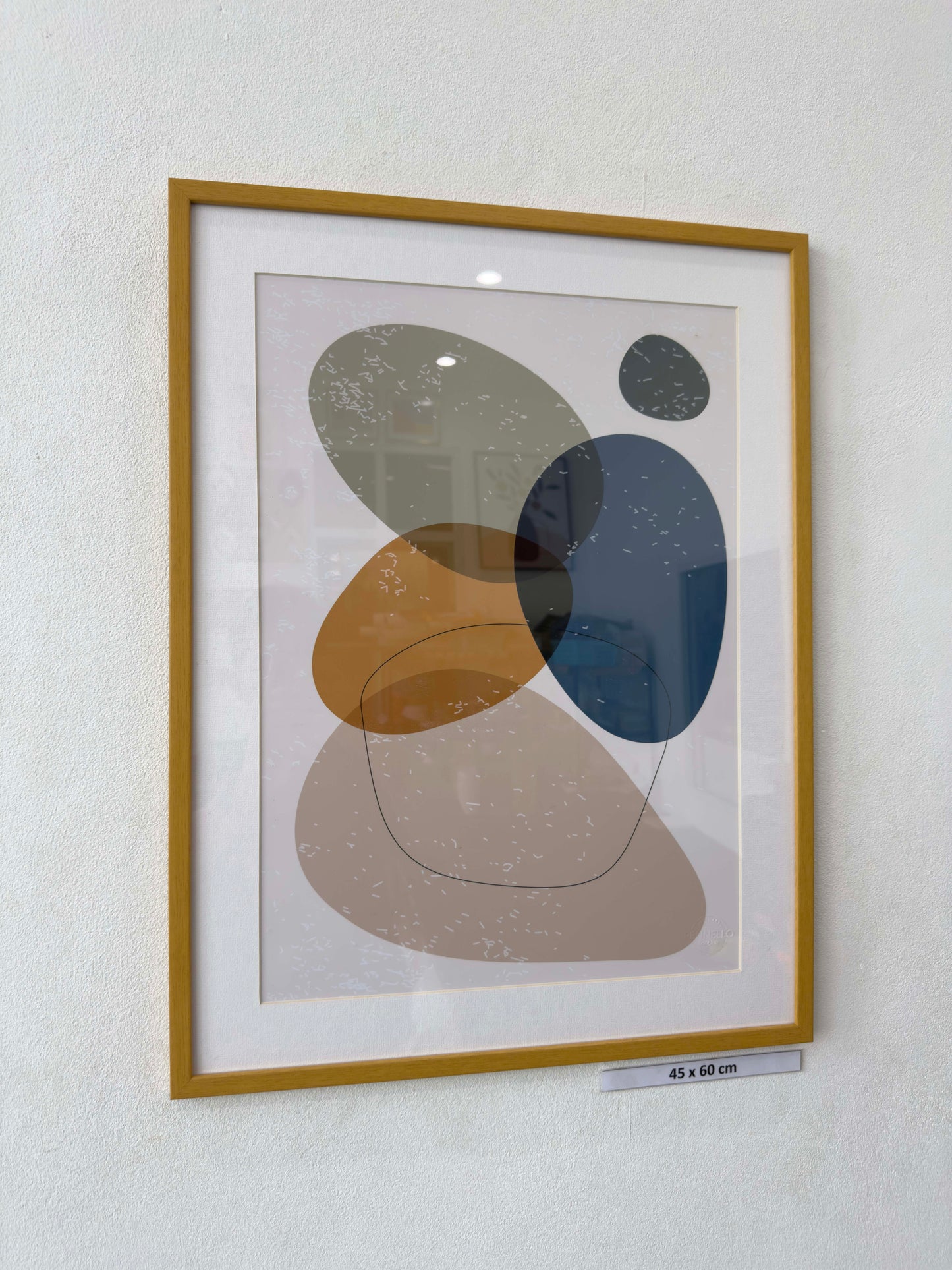 Abstract organic shapes