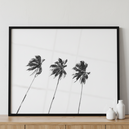 Coconut tree ภาพติดผังสไตล์สแกนดิเนเวีย สำหรับตกแต่งบ้านและคอนโด พร้อมกรอบคุณภาพ