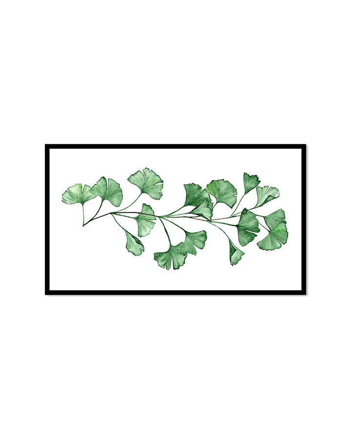 Ginkgo plant