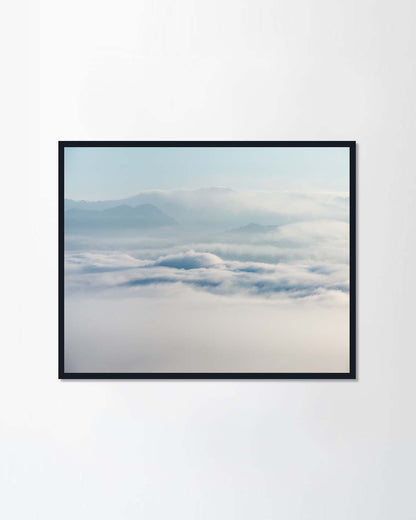 Fog above the forest