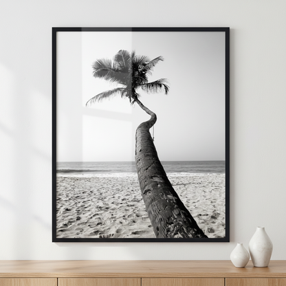 Beautiful palm in the tropical island Sri Lanka ภาพติดผังสไตล์วิวธรรมชาติ สำหรับตกแต่งบ้านและคอนโด พร้อมกรอบคุณภาพ