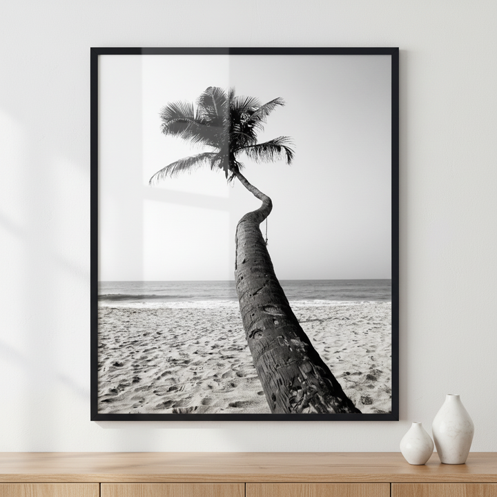 Beautiful palm in the tropical island Sri Lanka ภาพติดผังสไตล์วิวธรรมชาติ สำหรับตกแต่งบ้านและคอนโด พร้อมกรอบคุณภาพ