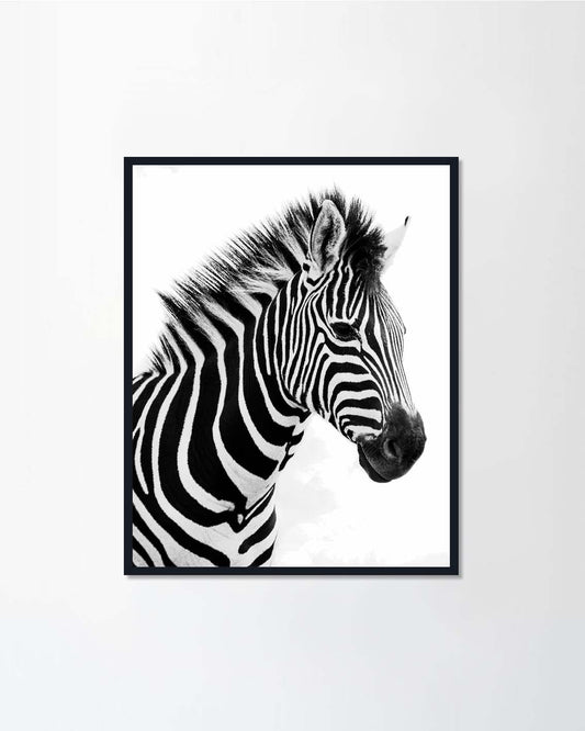 Plains Zebra head