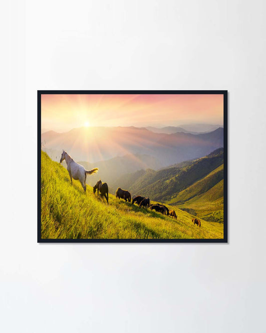 Grazing wild horses on the slopes of the mountain