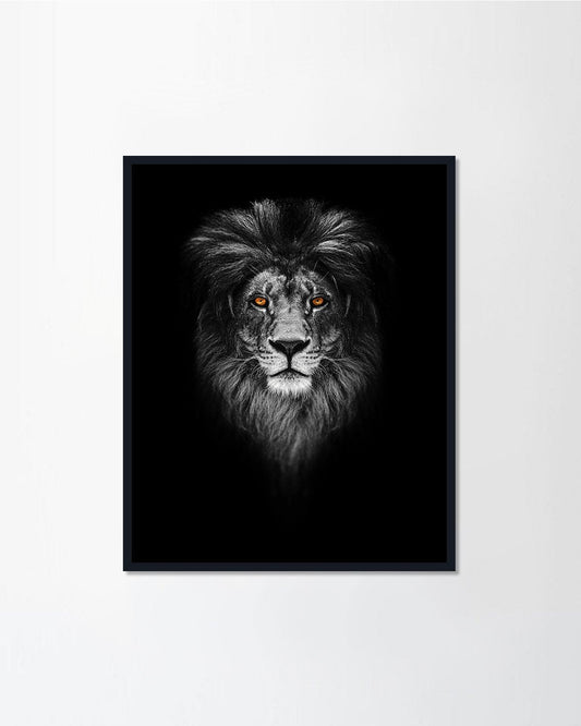 lion in dark.