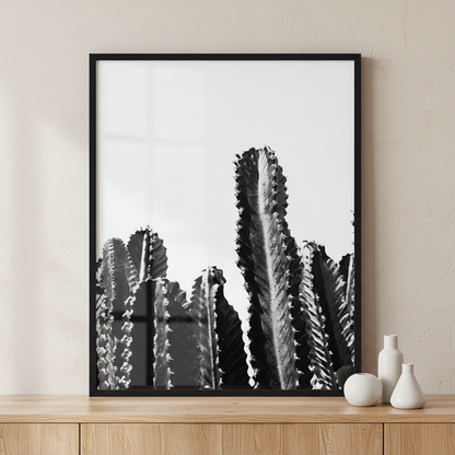 cactuses and shadow ภาพติดผังสไตล์นามธรรม สำหรับตกแต่งบ้านและคอนโด พร้อมกรอบคุณภาพ