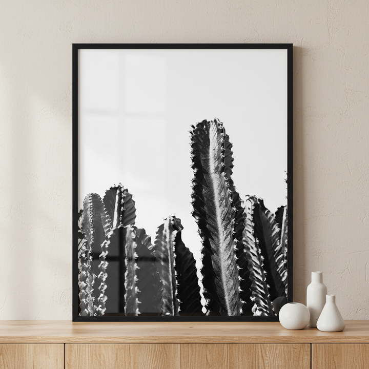 cactuses and shadow ภาพติดผังสไตล์นามธรรม สำหรับตกแต่งบ้านและคอนโด พร้อมกรอบคุณภาพ