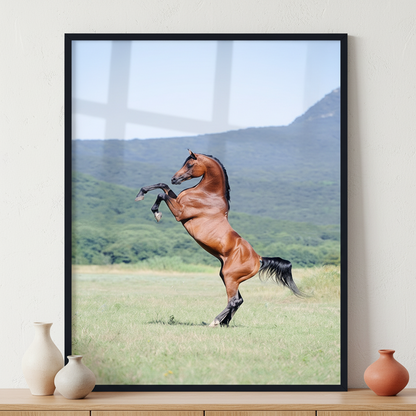 Arabian horse rearing ภาพติดผังสไตล์สแกนดิเนเวีย สำหรับตกแต่งบ้านและคอนโด พร้อมกรอบคุณภาพ