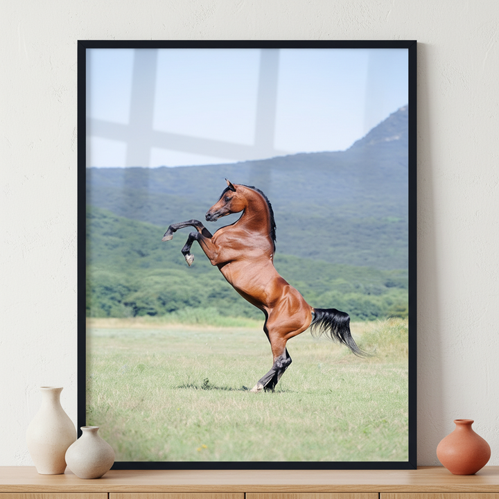 Arabian horse rearing ภาพติดผังสไตล์สแกนดิเนเวีย สำหรับตกแต่งบ้านและคอนโด พร้อมกรอบคุณภาพ