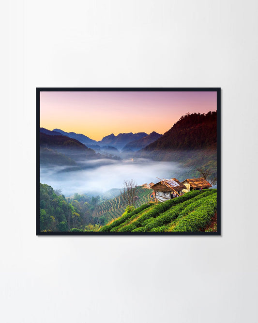 Mountain with pine trees