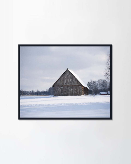 large tree shed on a snowy winter