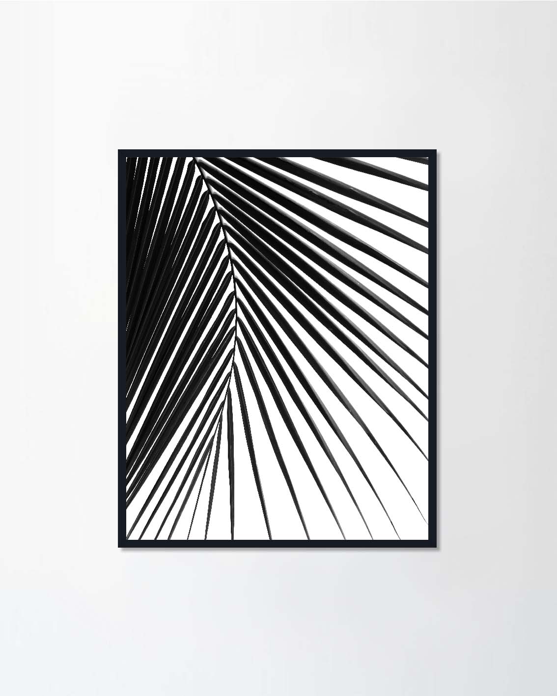 silhouette coconut leaf