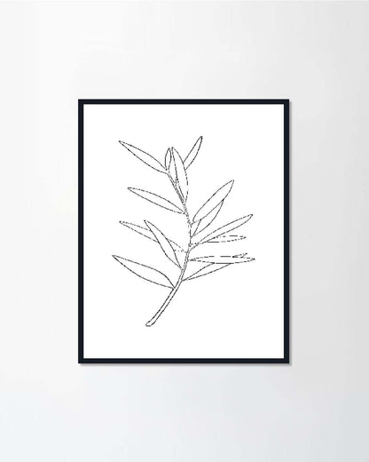 Vector sketch of olive