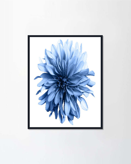 Pale blue flowers