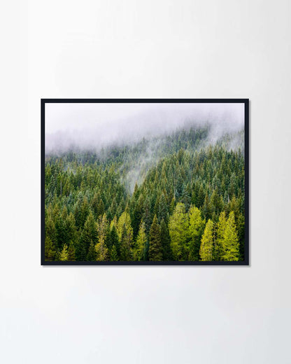 Mount Hood