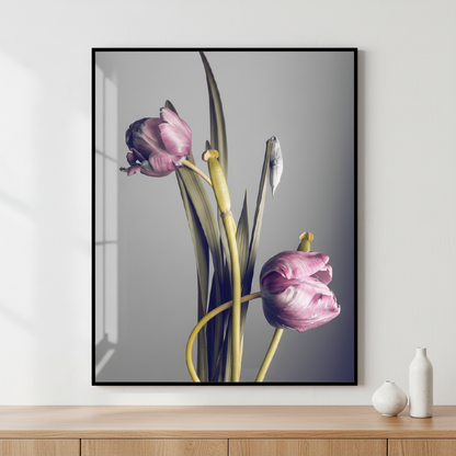 two tulips and foliage ภาพติดผังสไตล์สแกนดิเนเวีย สำหรับตกแต่งบ้านและคอนโด พร้อมกรอบคุณภาพ