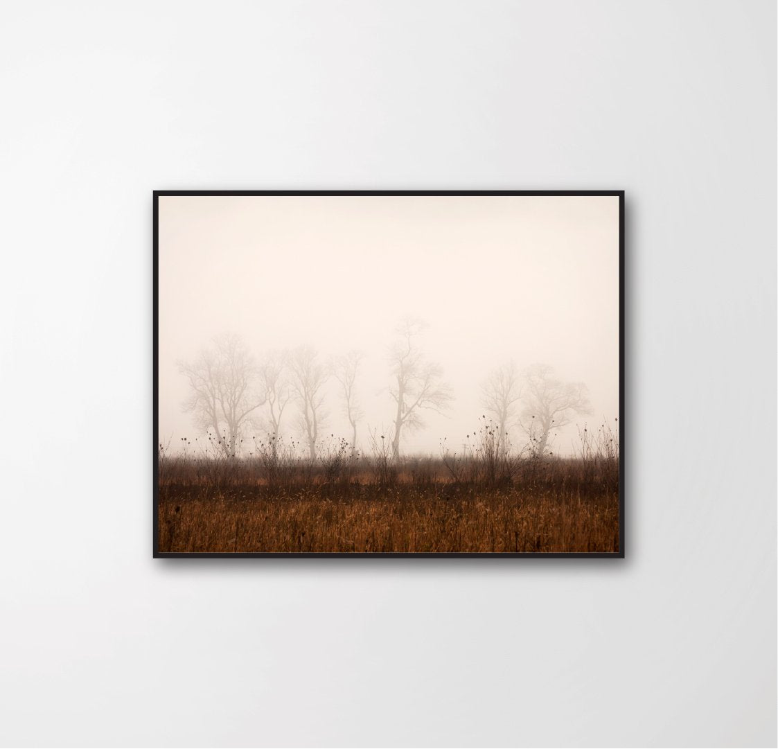 Foggy landscape