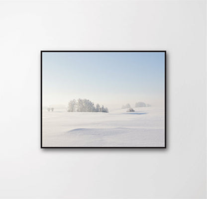 Calm Winter
