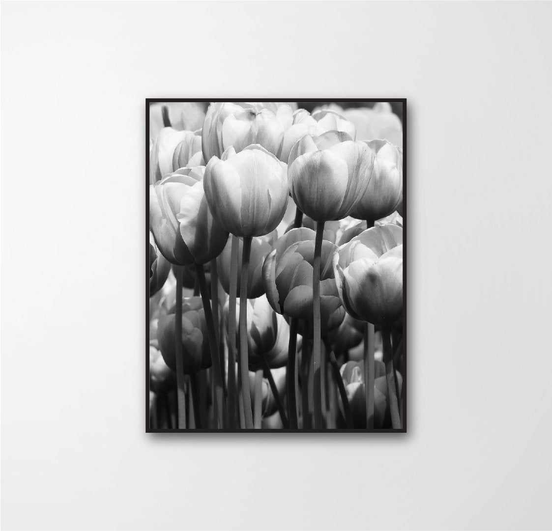 Monochrome Flower