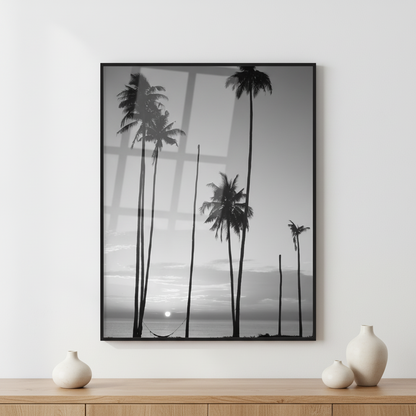 Coconut Palm trees ภาพติดผังสไตล์สแกนดิเนเวีย สำหรับตกแต่งบ้านและคอนโด พร้อมกรอบคุณภาพ