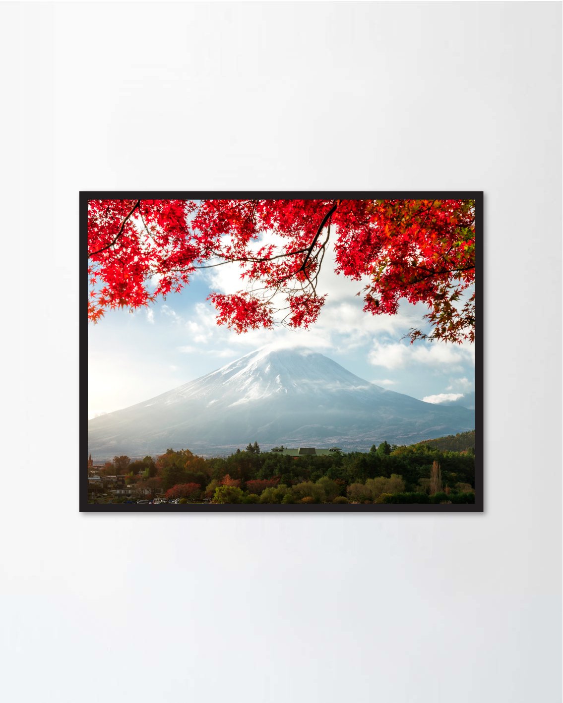 Beautiful autumn leaves Mountain