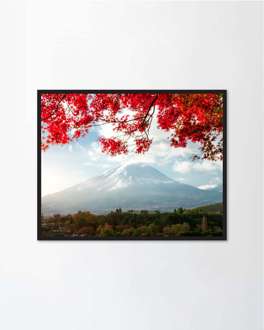 Beautiful autumn leaves Mountain