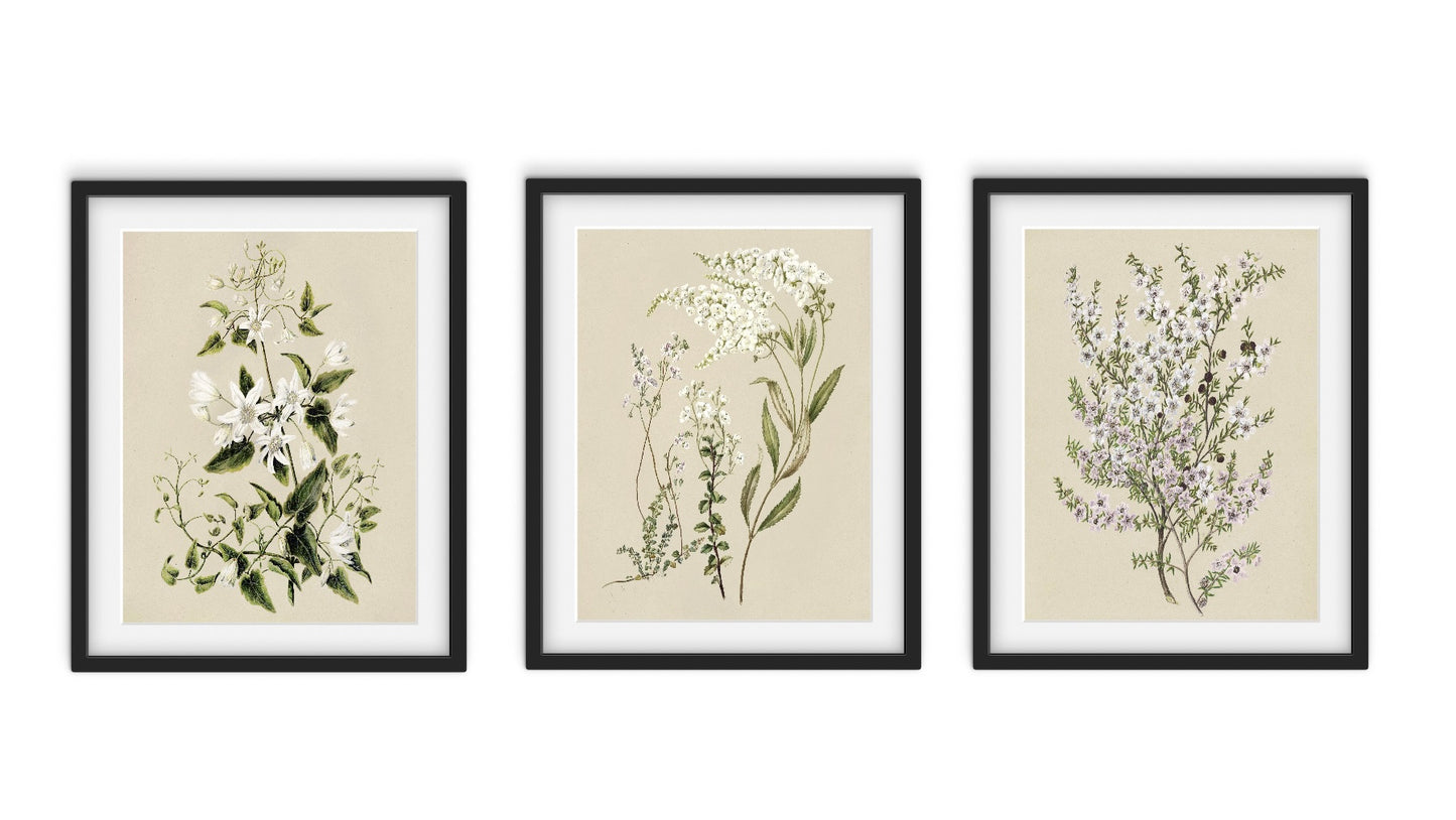 Minimal Meadow (3 ภาพ)