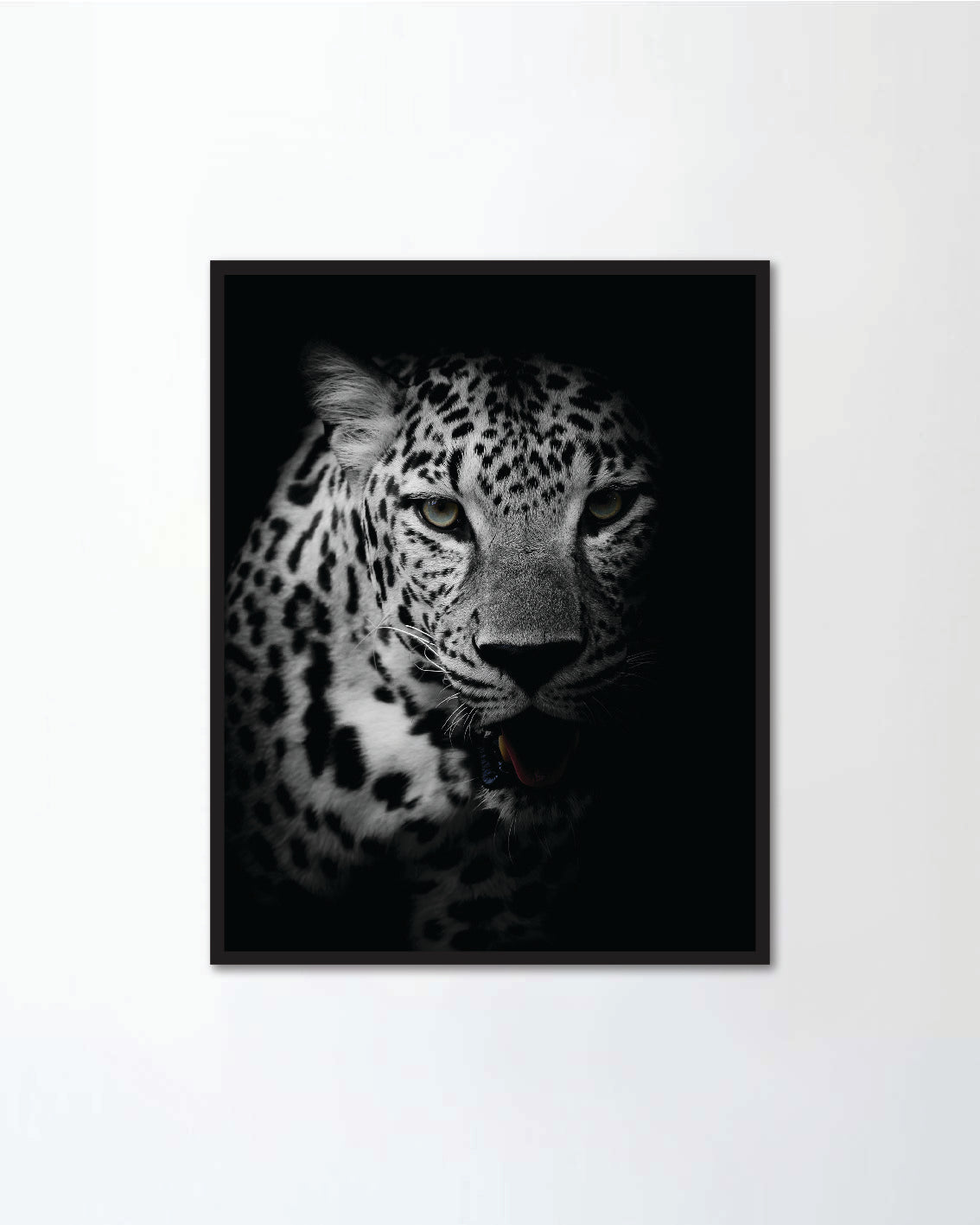 Leopard Portrait