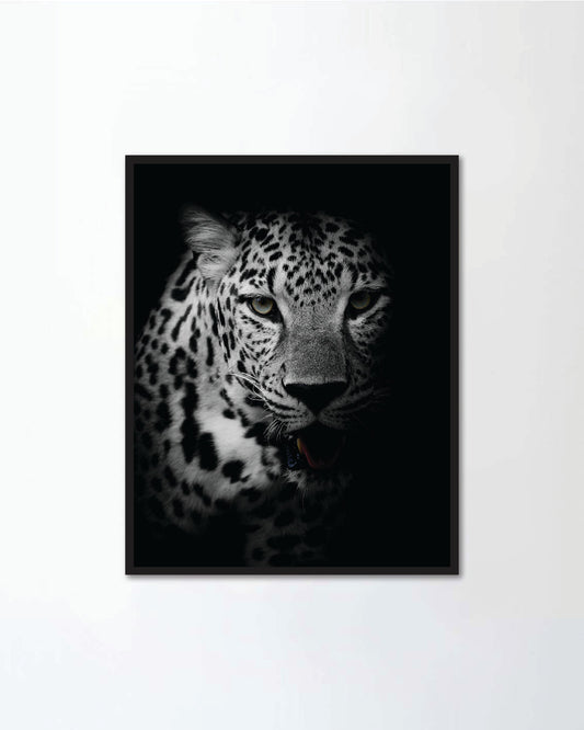 Leopard Portrait
