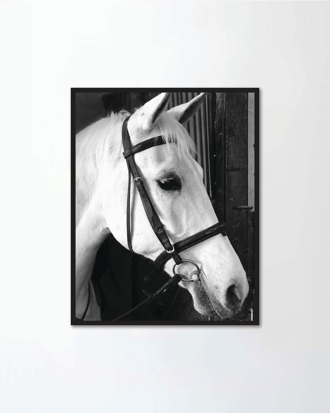 pretty mare posing in the barn