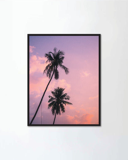 Scenic view of isolated tall coconut palm tree