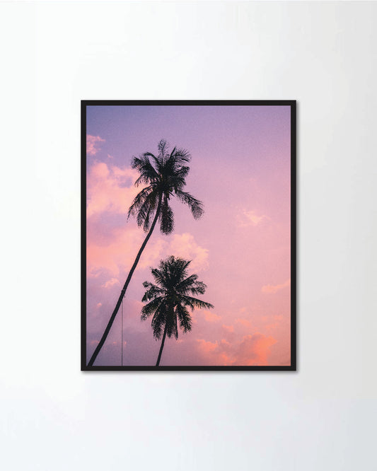 Scenic view of isolated tall coconut palm tree