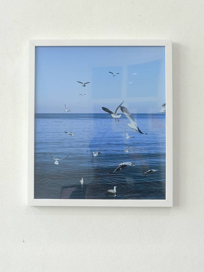 Seagulls flying over the sea
