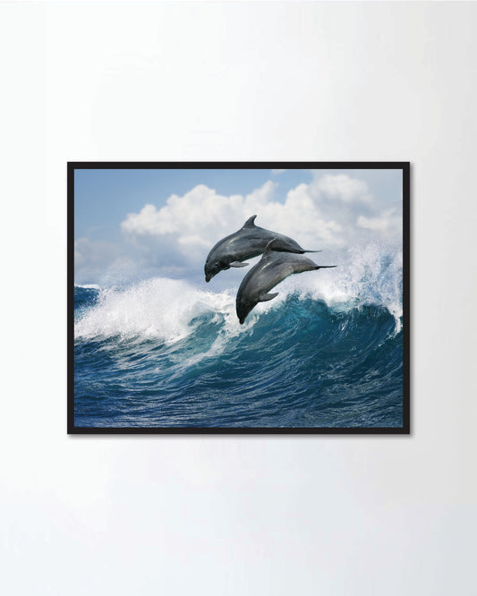 Beautiful dolphins jumping