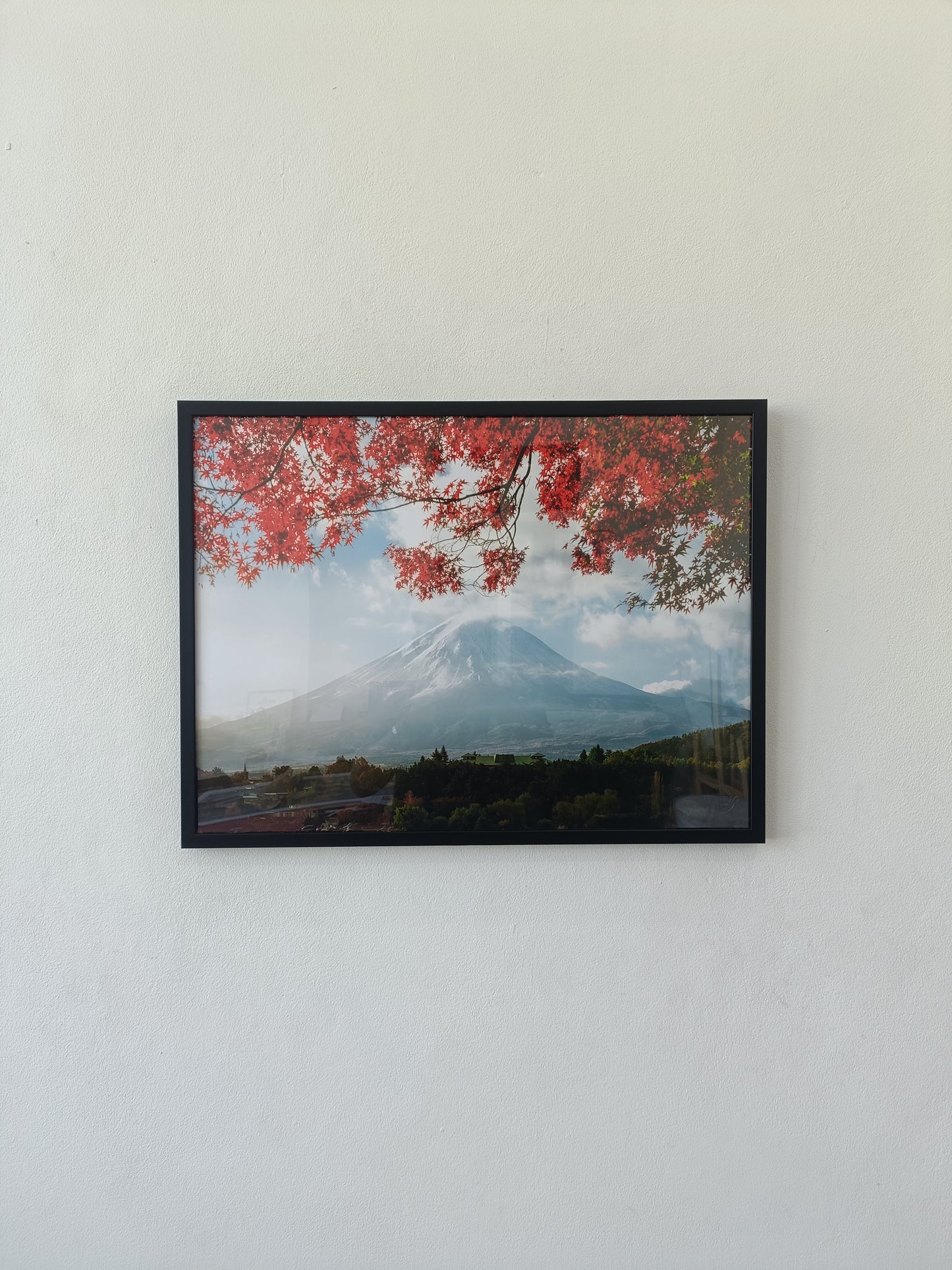 Beautiful autumn leaves Mountain