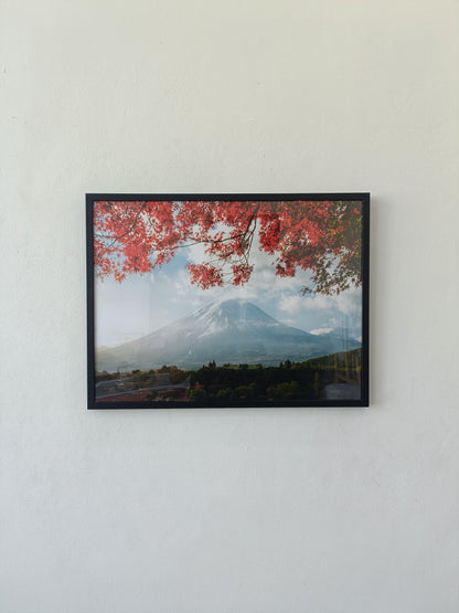 Beautiful autumn leaves Mountain