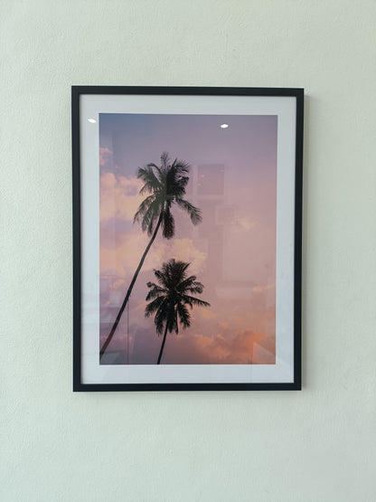 Scenic view of isolated tall coconut palm tree