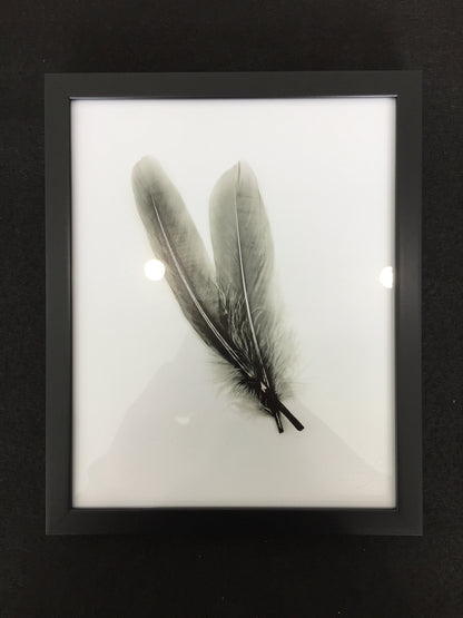 Black and White Art