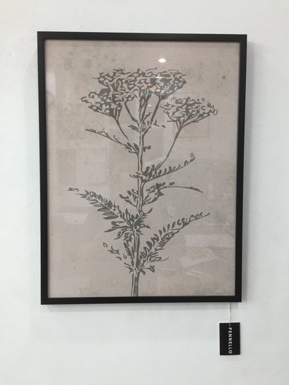 Set of botanical posters