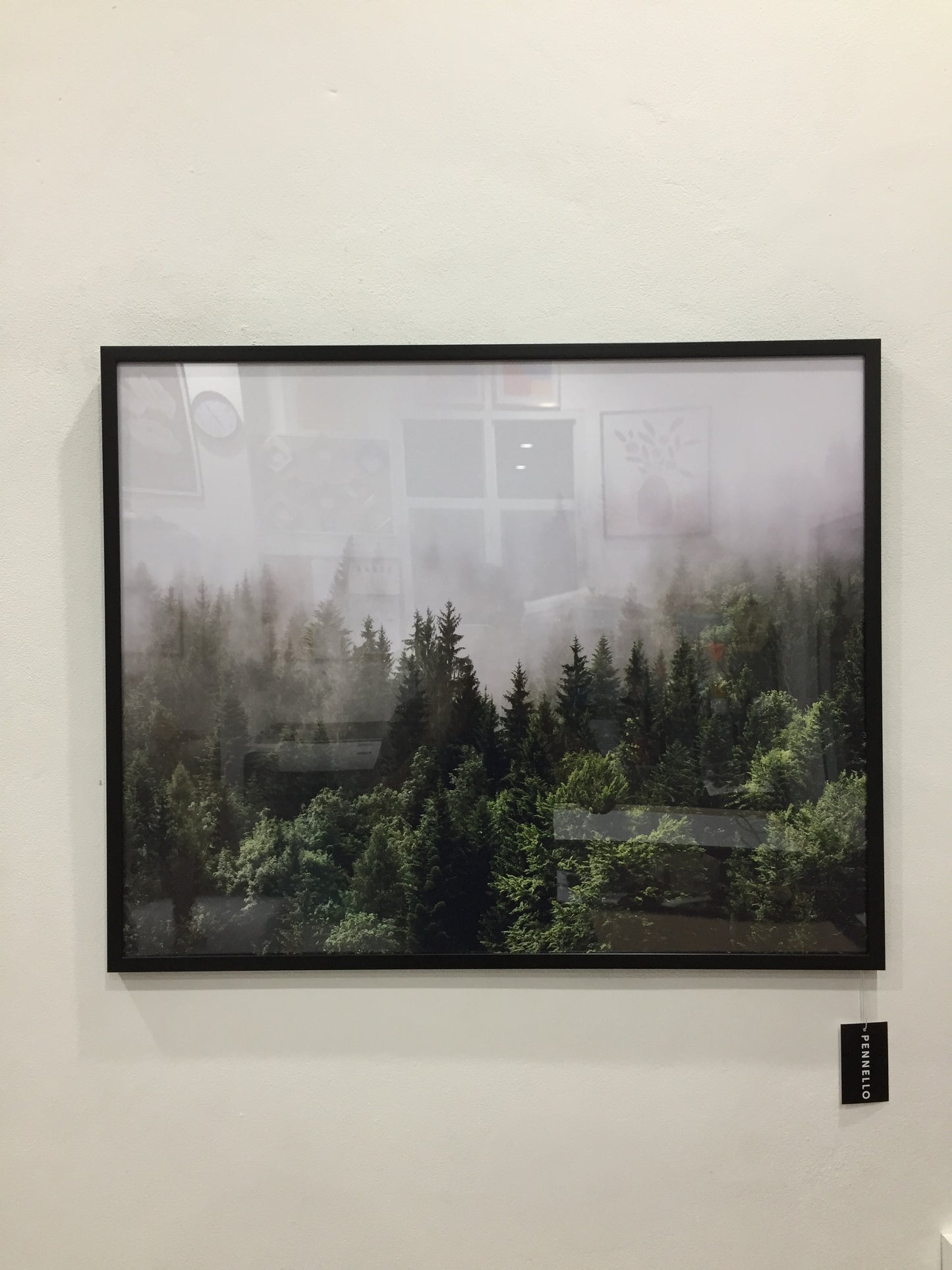 Forested mountain slope