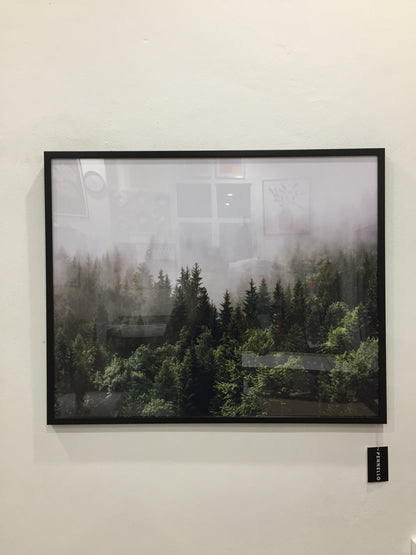 Forested mountain slope