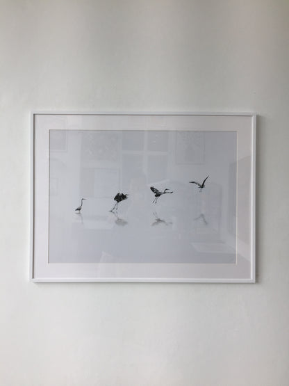 Flying in the sky