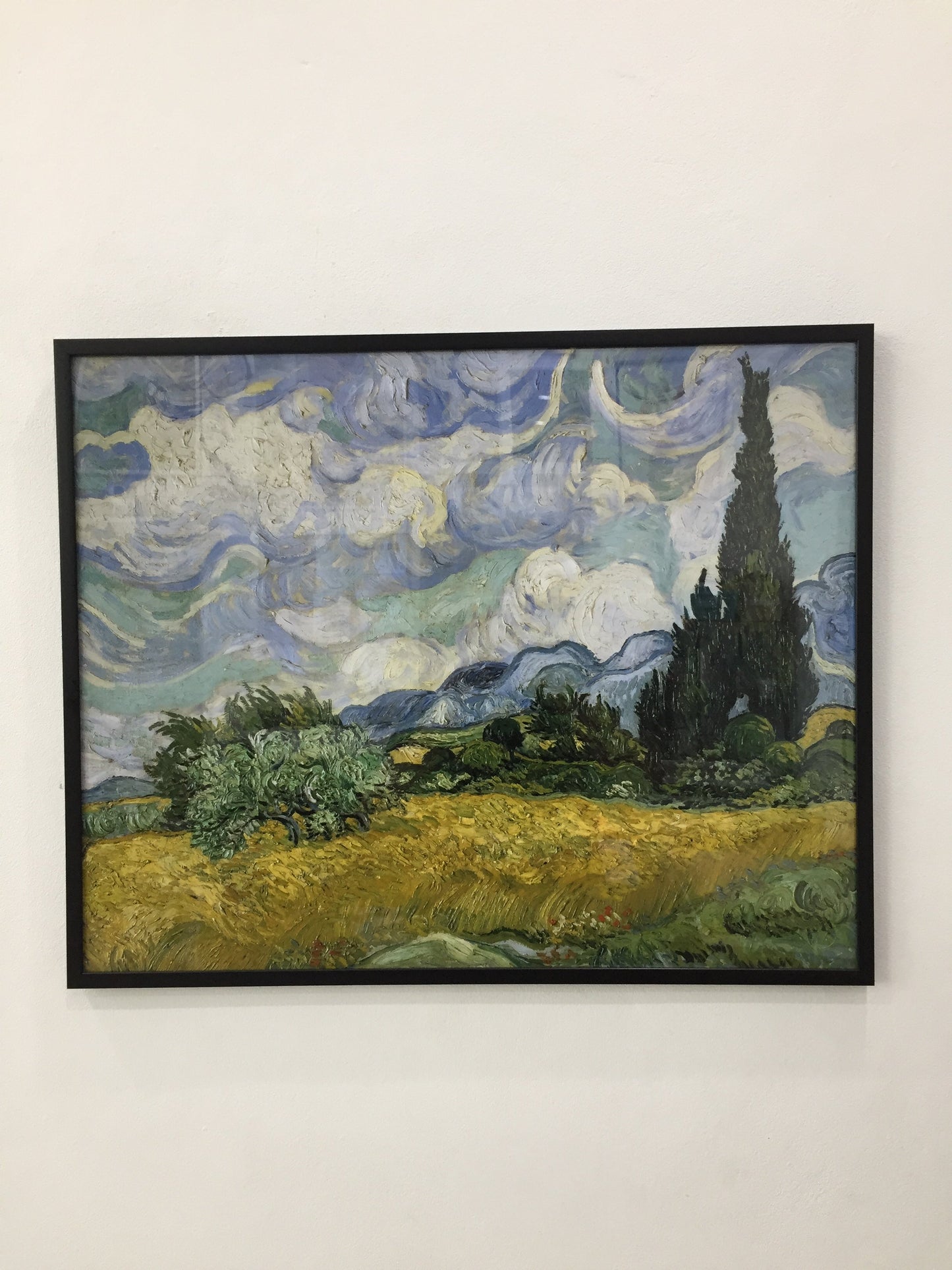 Wheat Field with Cypresses