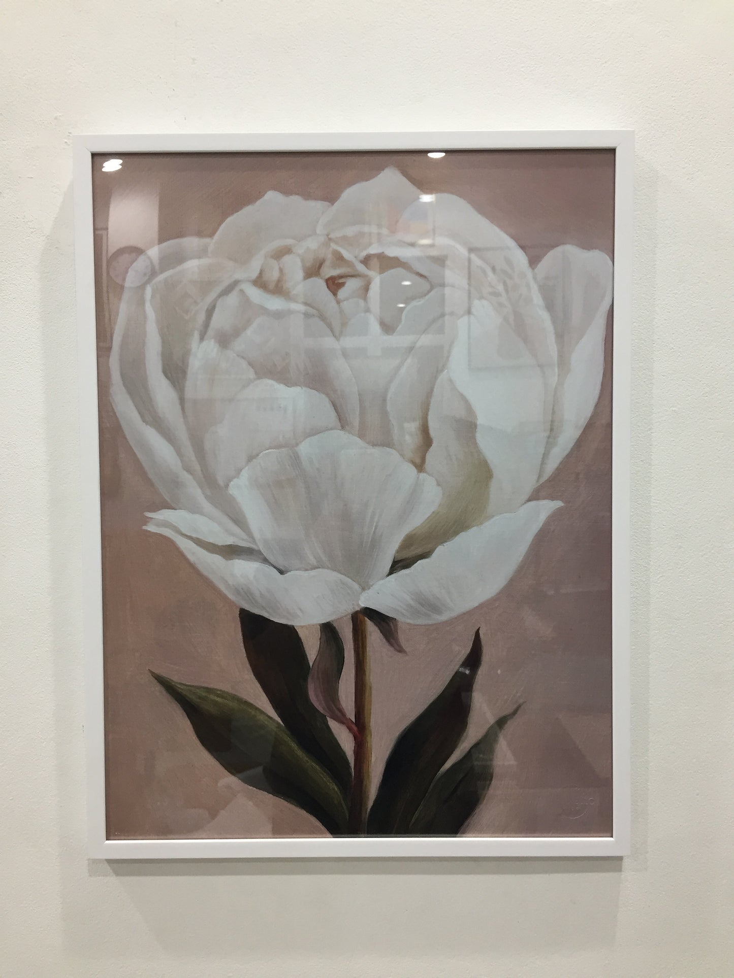 painting white peony green leaves pink