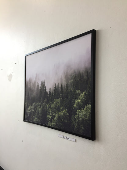 Forested mountain slope