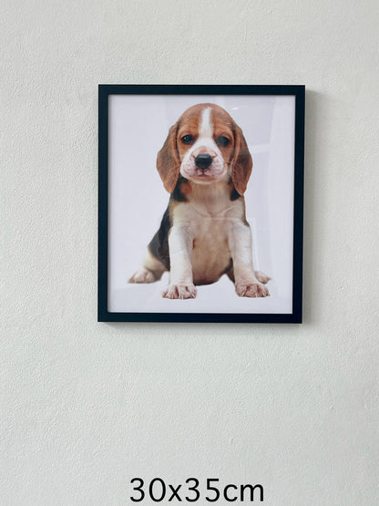 cute beagle