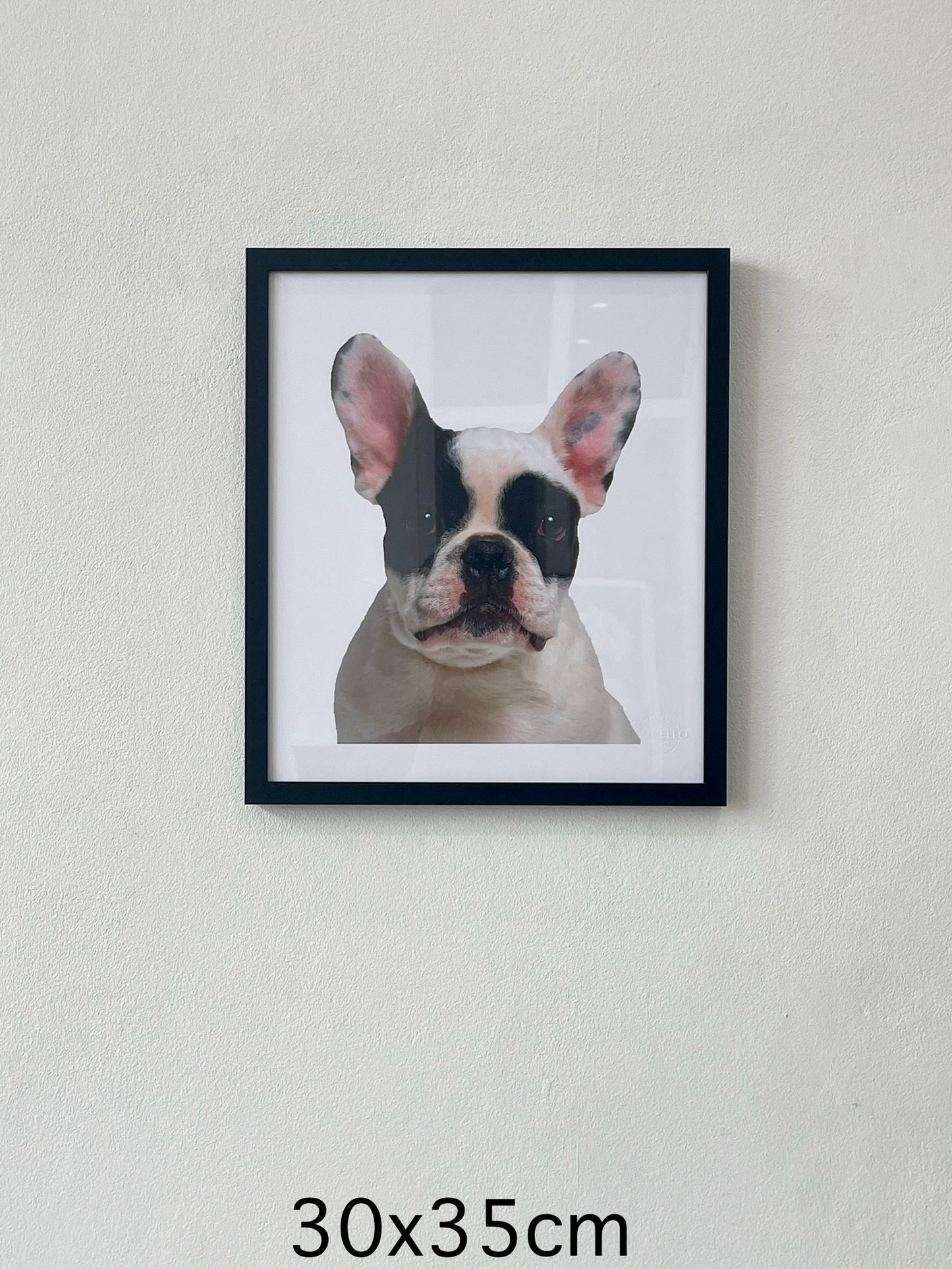 Funny dog