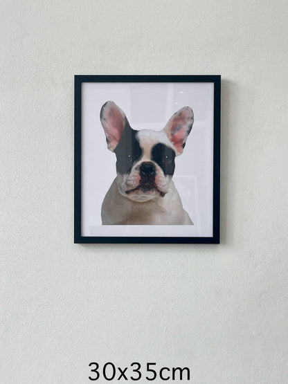 Funny dog