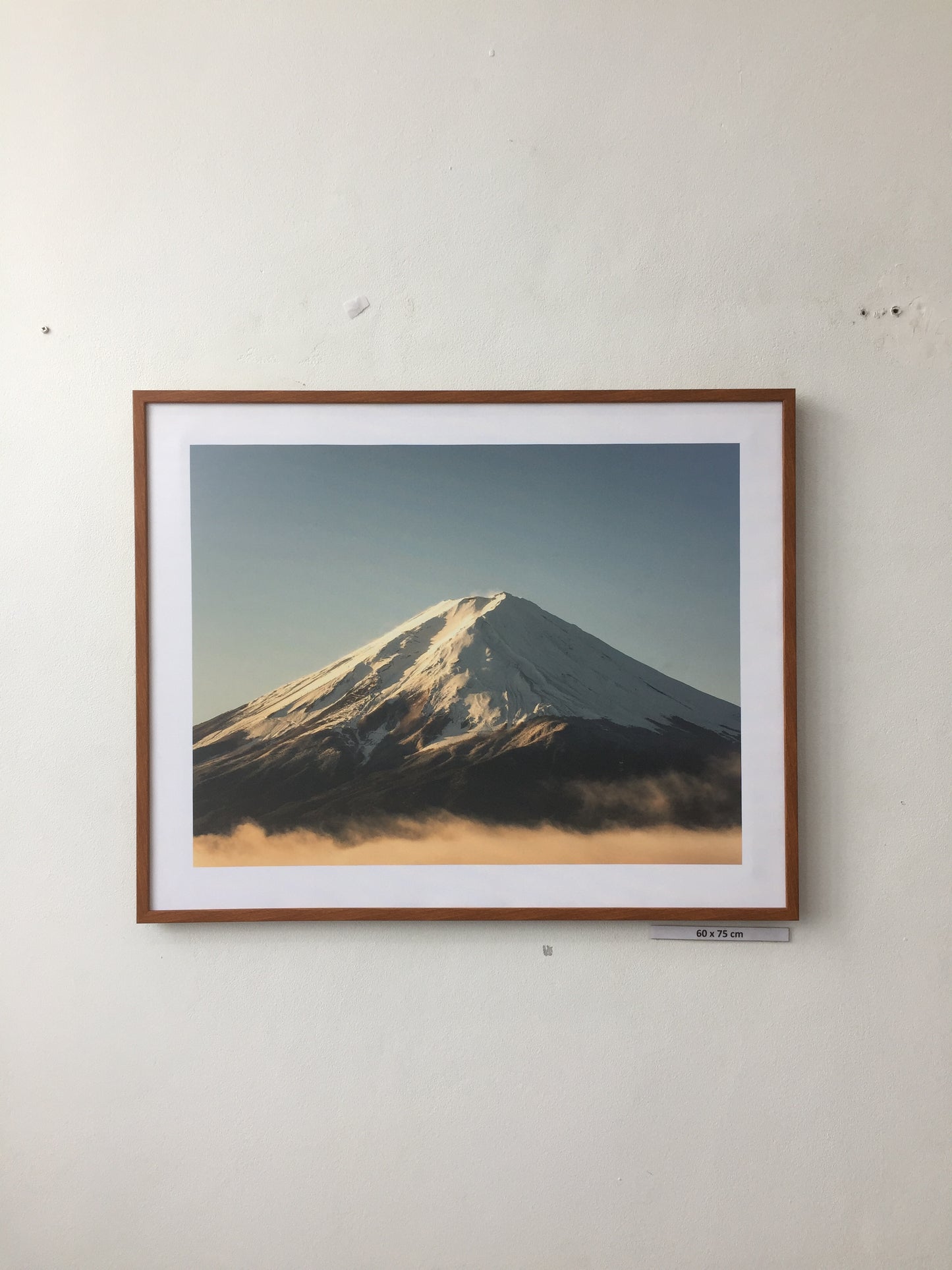Fuji Mountain